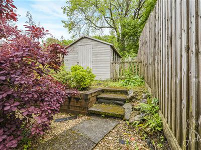 Picture 28